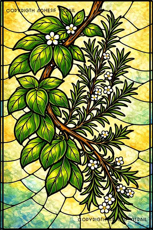 Film adhésif décoratif autocollant d’inspiration vitrail représentant des plantes aromatiques, basilic et romarin avec fleurs blanches.